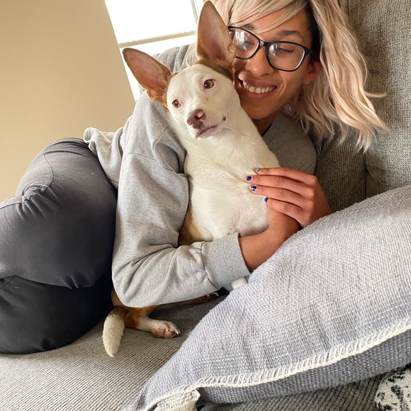 Meet your Posher, Em - Picture 1 of 1